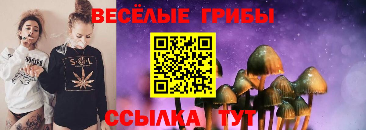Кумертау  Галлюциногенные грибы мухоморы  Псилоцибиновые грибы Psilocybine cubensis  Вход с VPN 