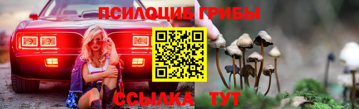 Галлюциногенные грибы Cubensis Кумертау